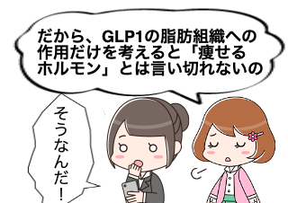 ４コマ漫画「GLP1は脂肪を分解しません」の４コマ目